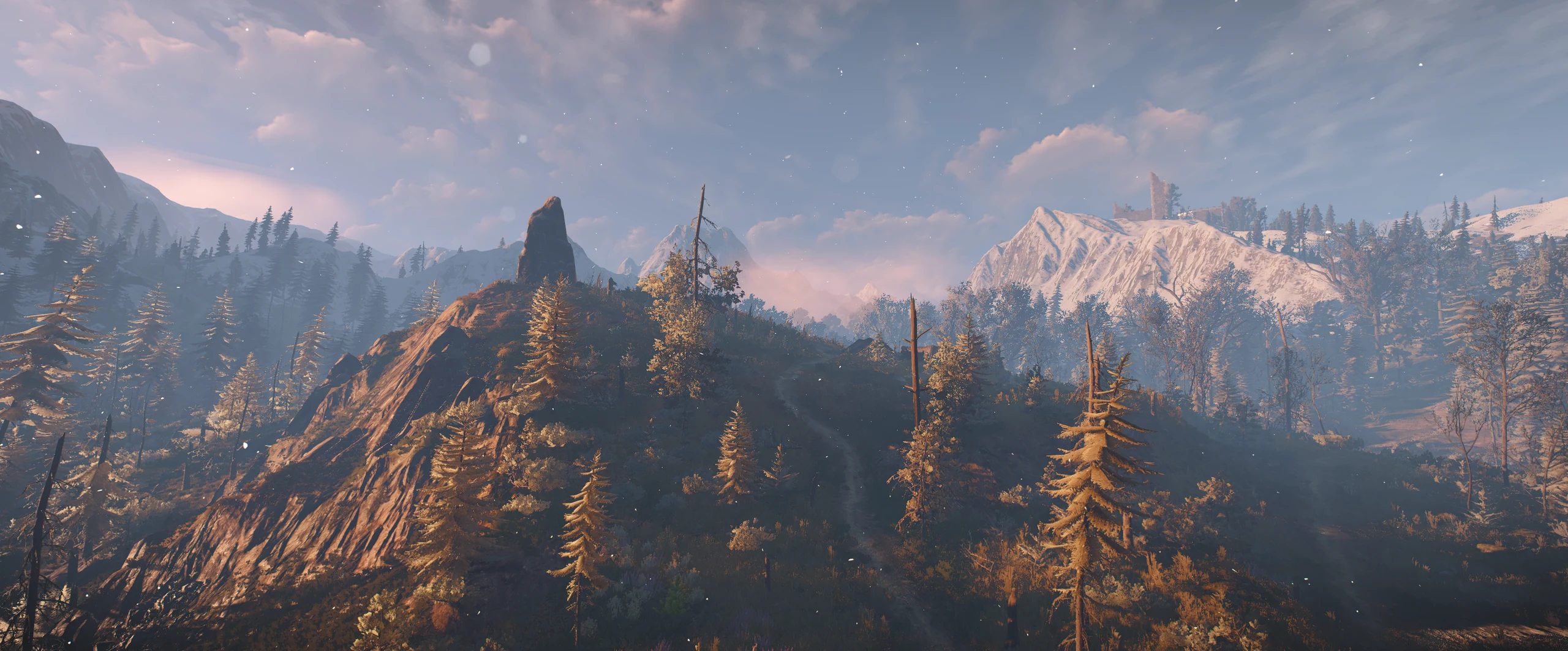 Forests and snowy ridges in the evening light
