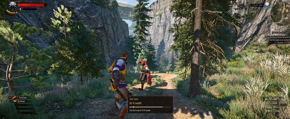 Two characters facing each other in a forest mountain pass